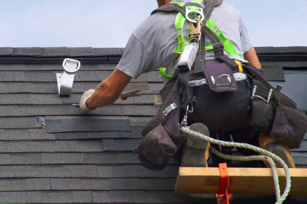 Roof Gutter Cleaning in Old Jefferson, LA