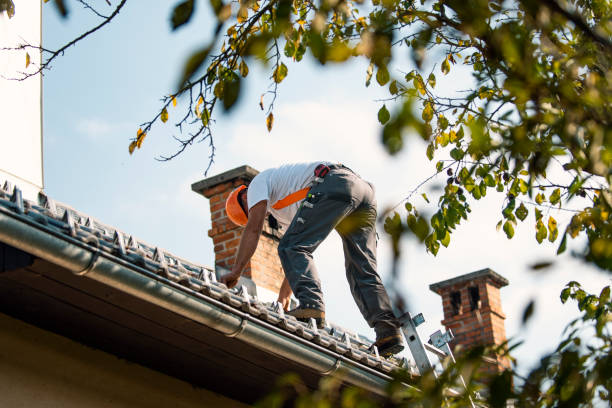 Best Roof Gutter Cleaning  in Old Jefferson, LA