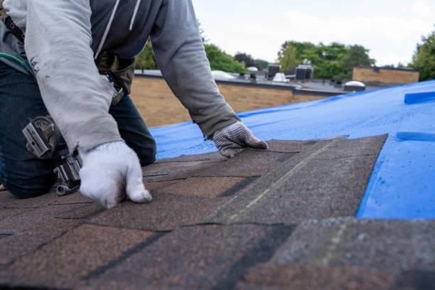 Quick and Trustworthy Emergency Roof Repair Services in Old Jefferson, LA